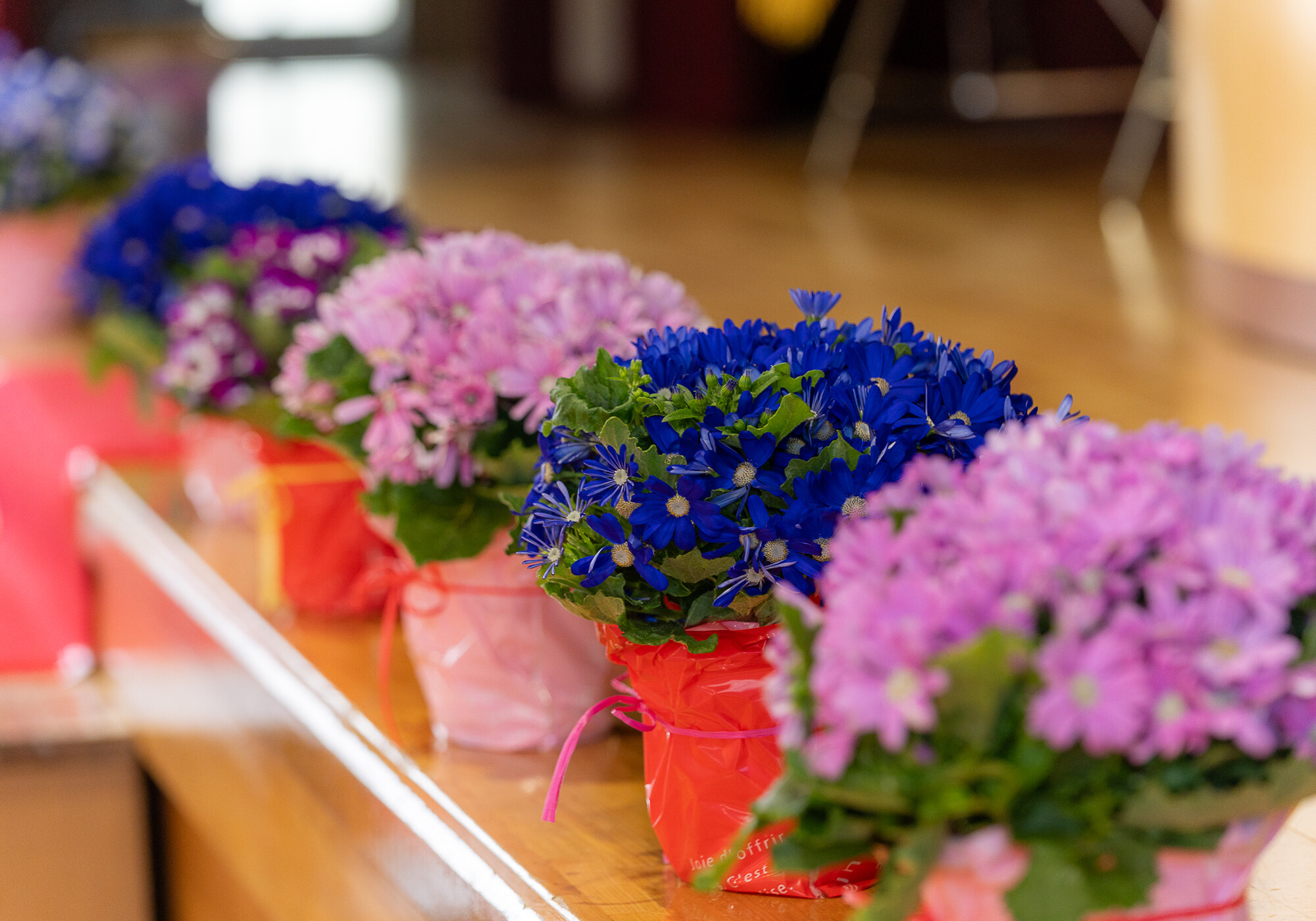 学校・団体撮影