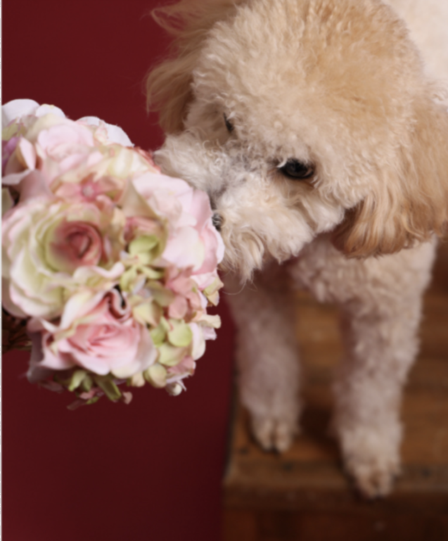 プリントサービス